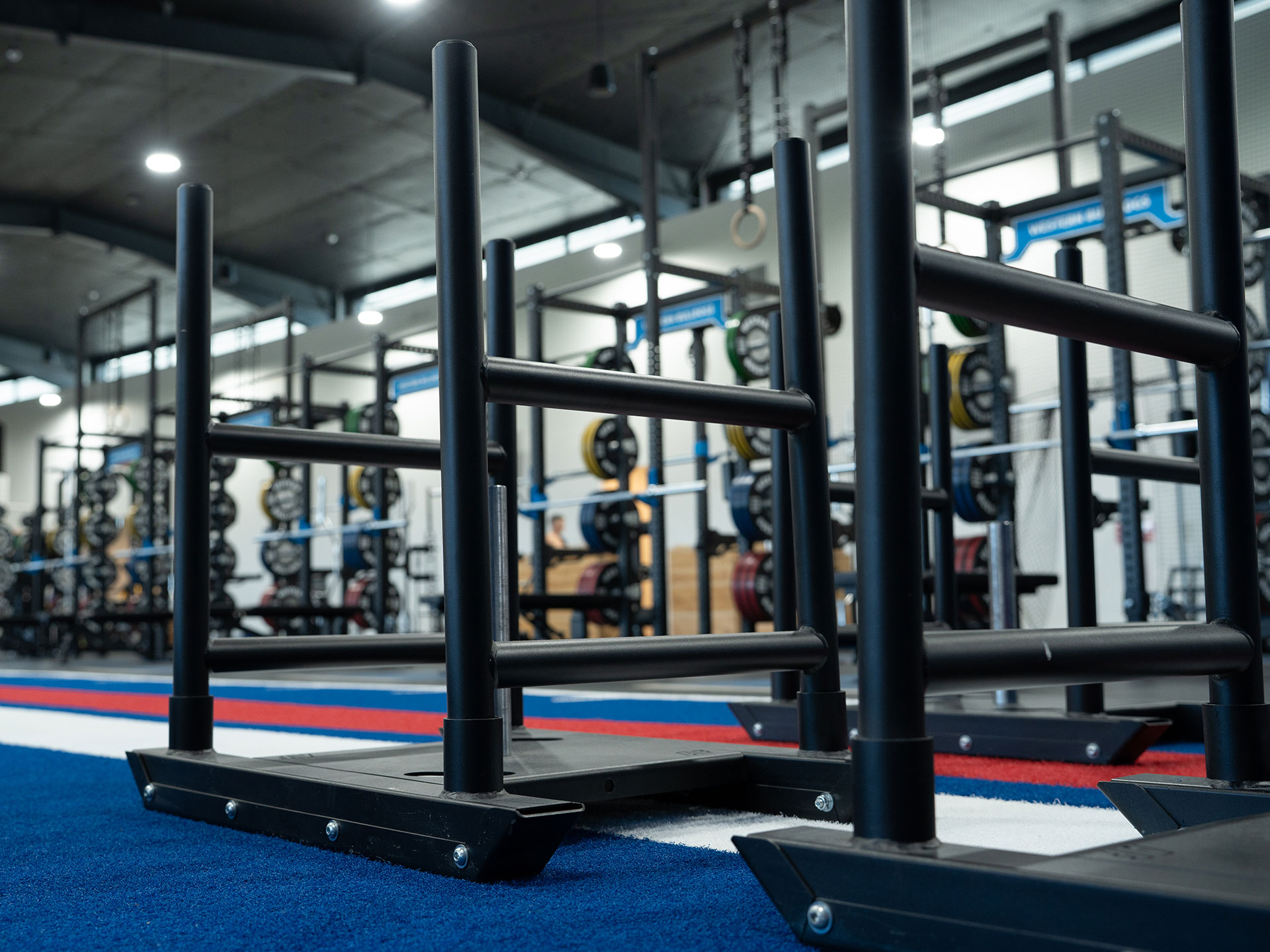 Western Bulldogs Fitout