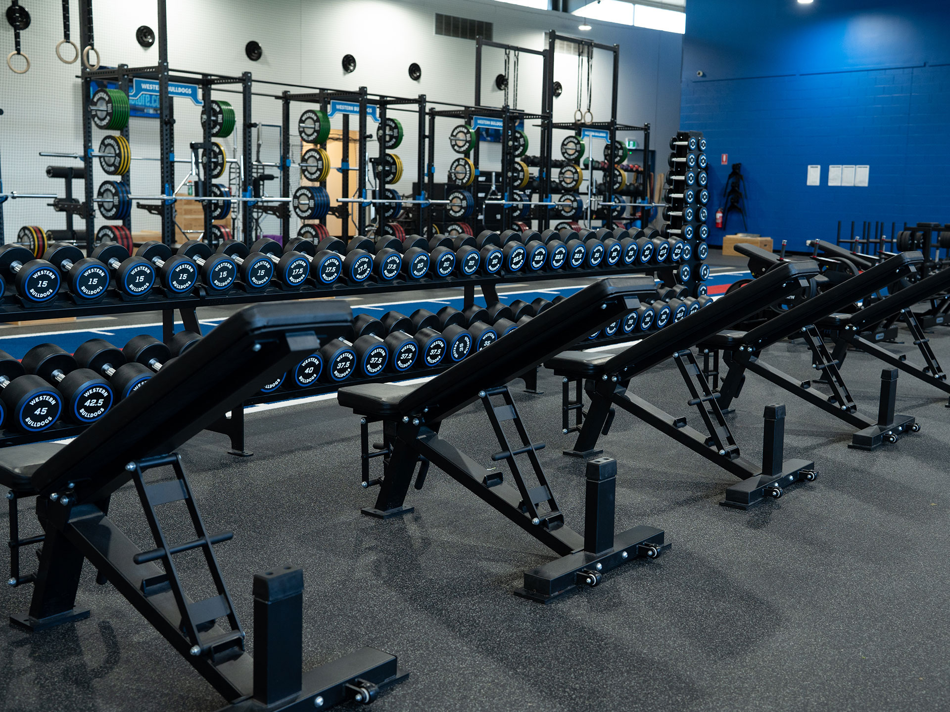 Western Bulldogs Fitout