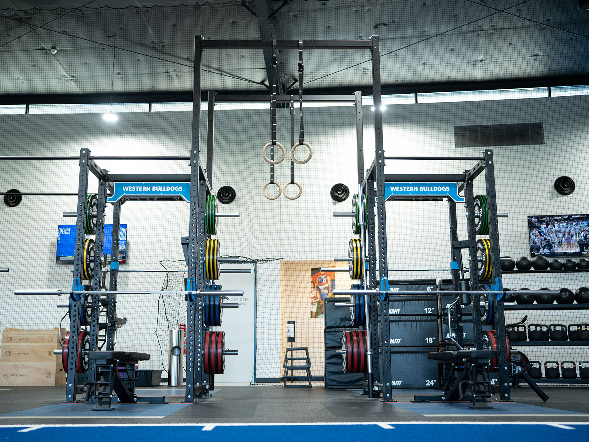 Western Bulldogs Fitout