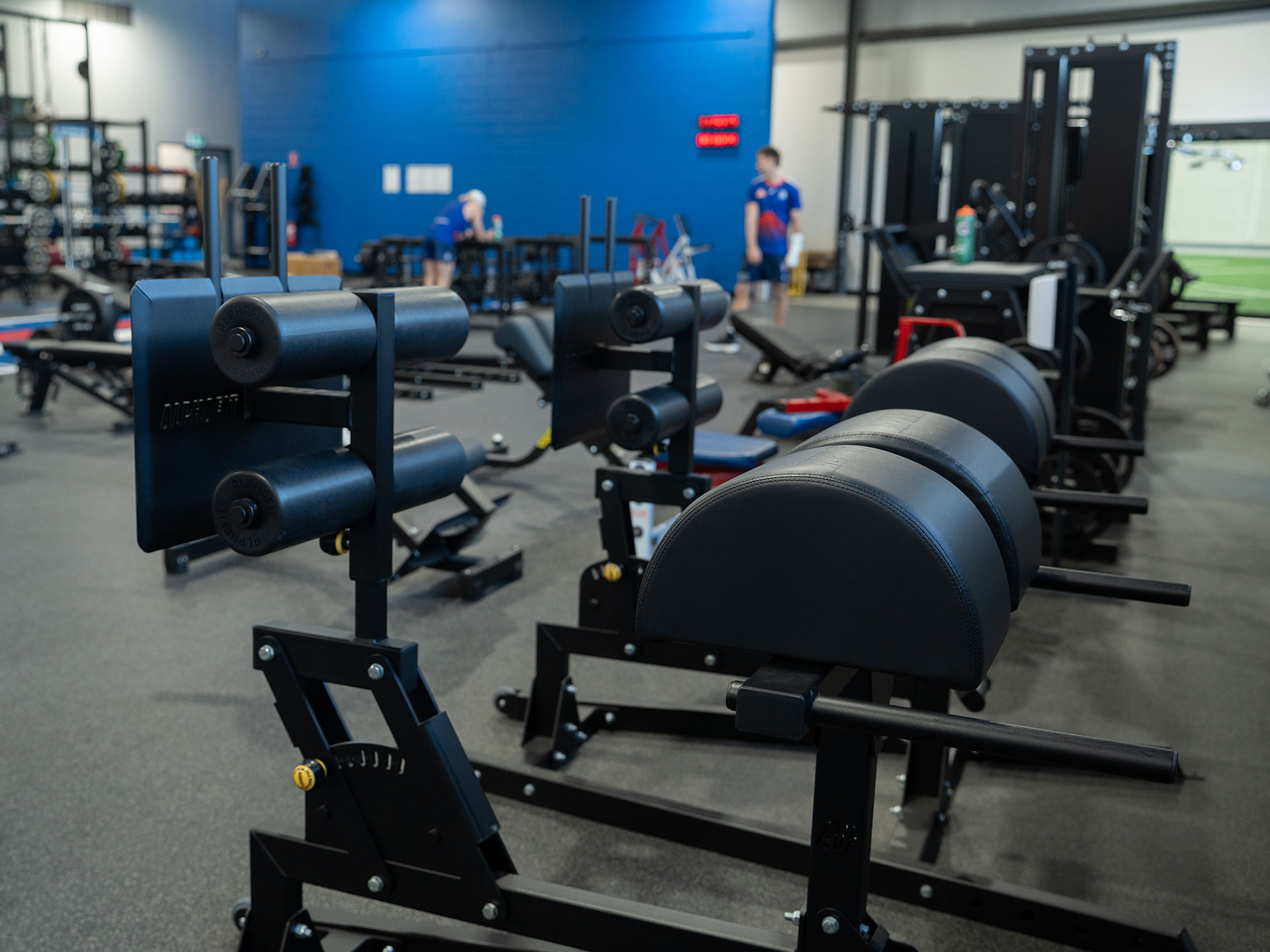 Western Bulldogs Fitout