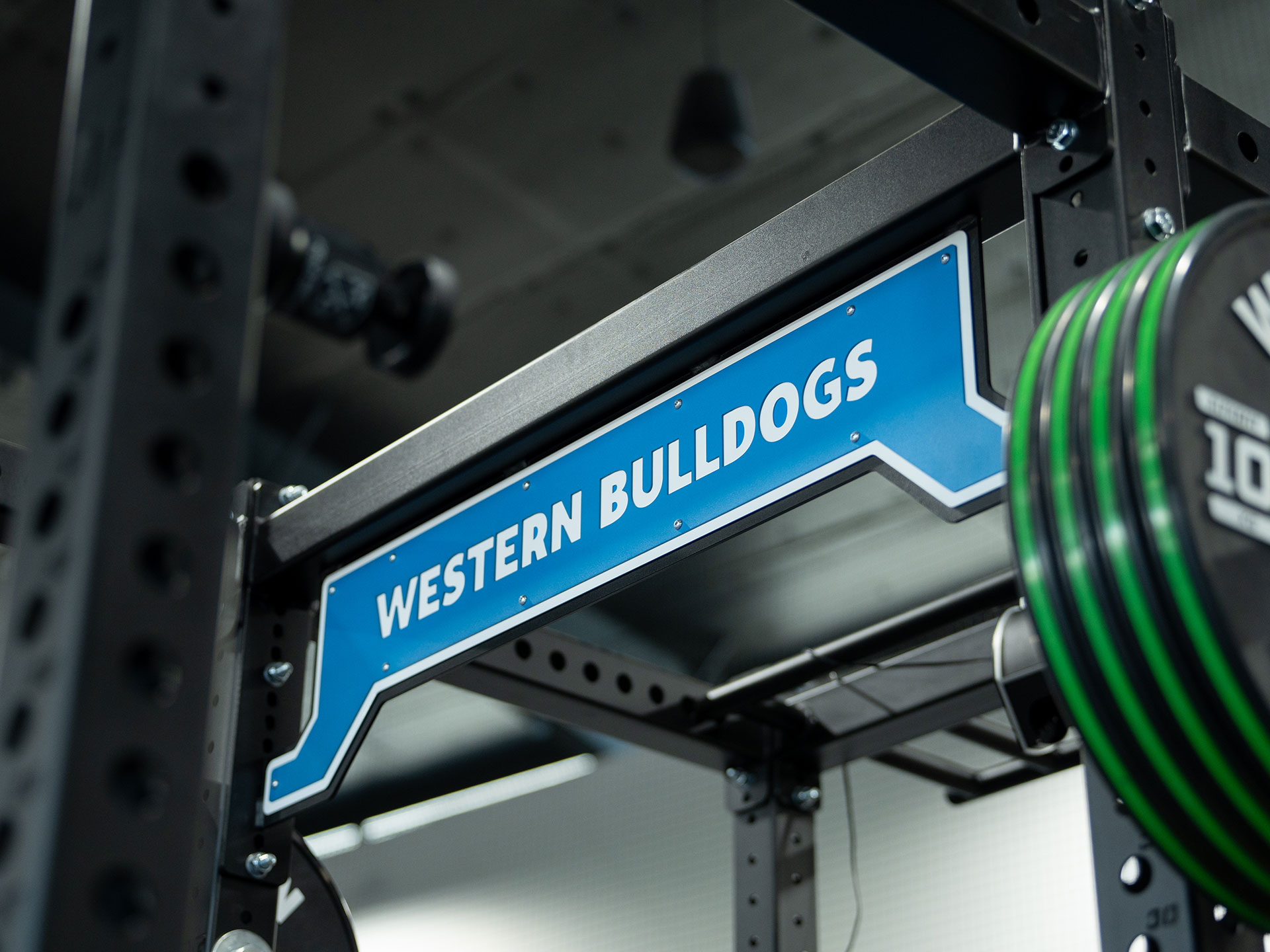 Western Bulldogs Fitout