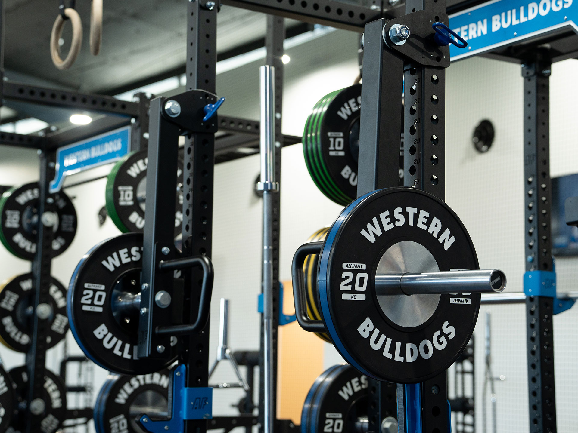 Western Bulldogs Fitout