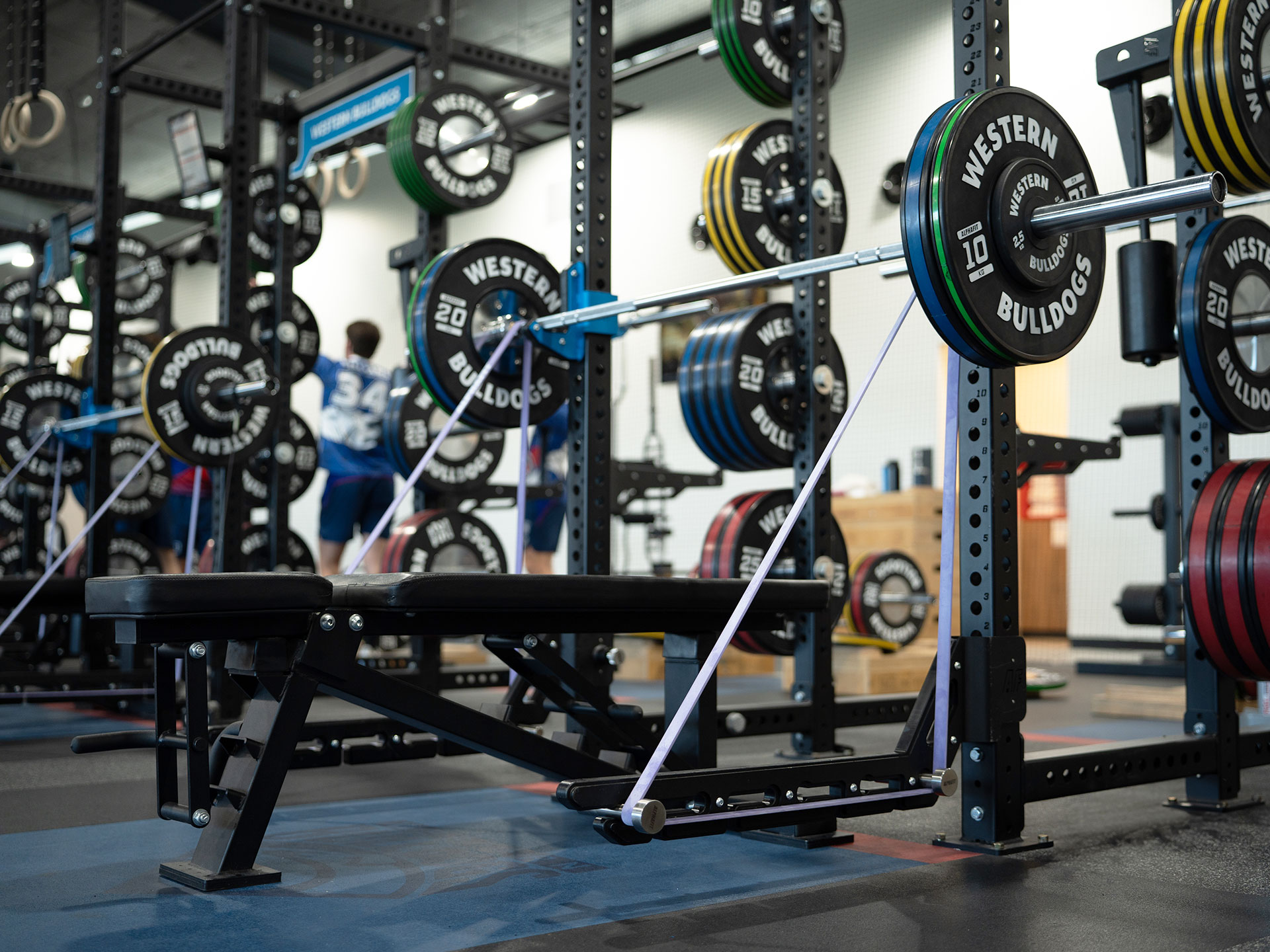 Western Bulldogs Fitout