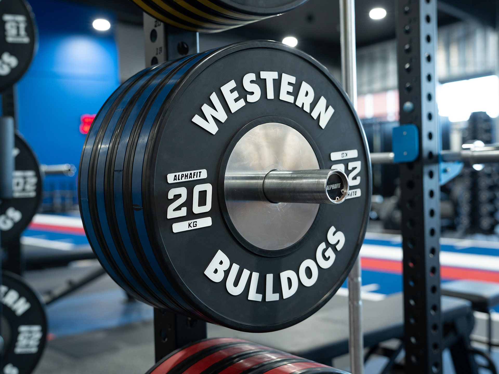 Western Bulldogs Fitout