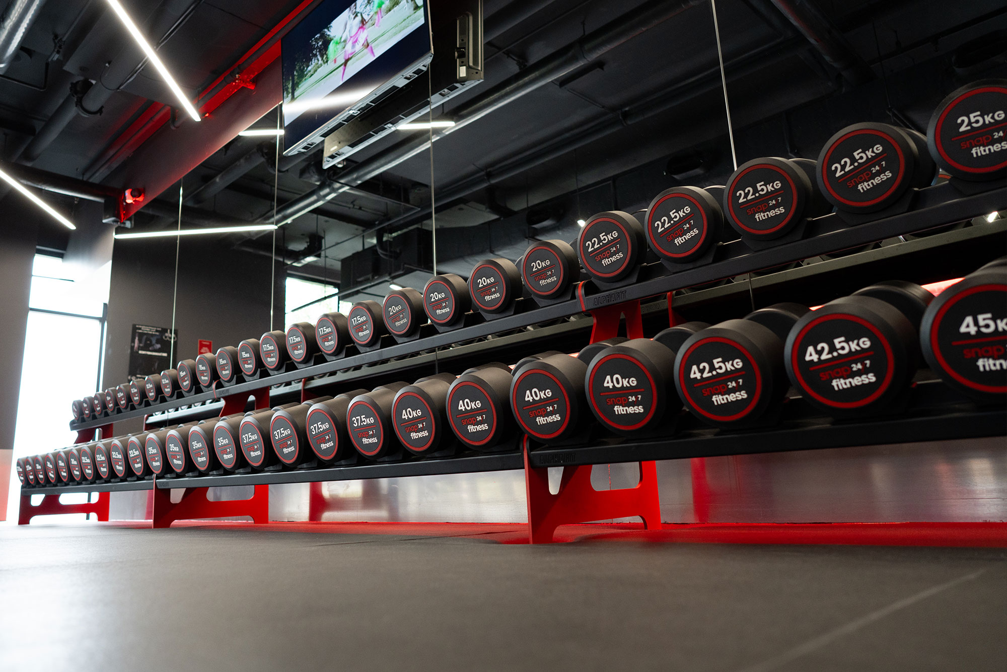 Red PU Dumbbell Storage Rack