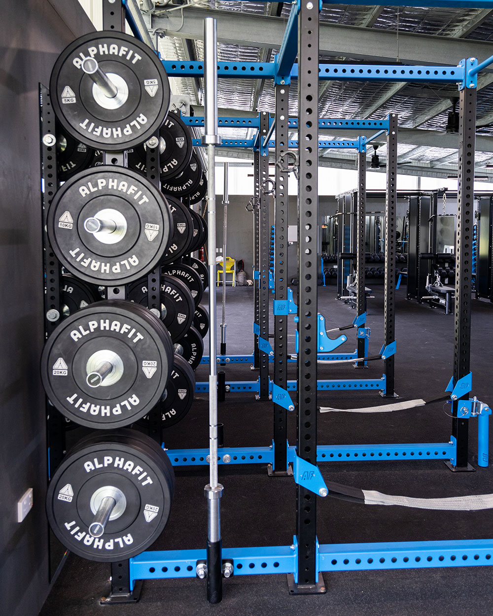Barbell and Weight Plate Rig Mounted Storage